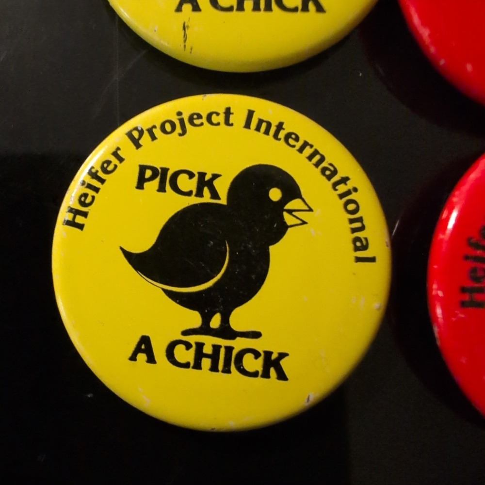 Vintage Heifer Project International Pinback Button Set Farm Animals 16pc VG - Picture 3 of 6